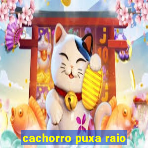 cachorro puxa raio